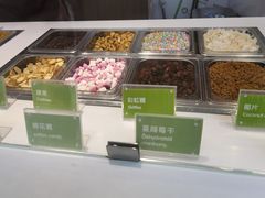 零售区-Salud撒露欧洲冻酸奶(蓝色港湾店)