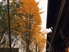 景点-黄龙溪古镇