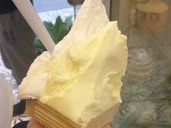 -柠檬车露(卖草地店)