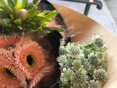 -双季花艺园艺市场(浦东店)