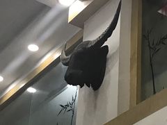 -尚医堂中医馆