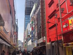 -秋叶原电器街