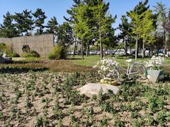 -羊亭河湿地公园