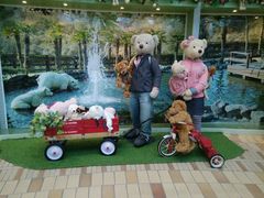 -济州岛泰迪熊博物馆