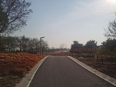 -东郊湿地公园
