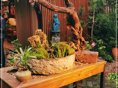 -厚山庭院重庆老火锅