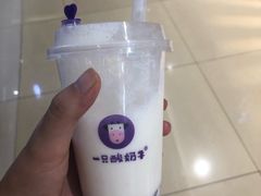 -一只酸奶牛(曲江龙湖星悦荟店)