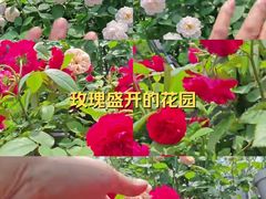 -回龙观体育文化公园