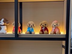 -泰平丽锦酒店(成都太古里春熙路店)
