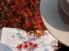 -杭州植物园