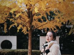 -上海电影博物馆