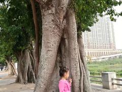 -龙环葡韵住宅式博物馆