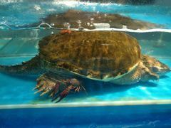 -学府海鲜批发市场