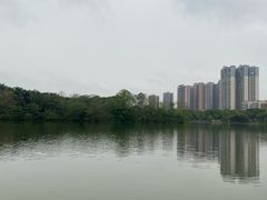 -飞来湖湿地公园