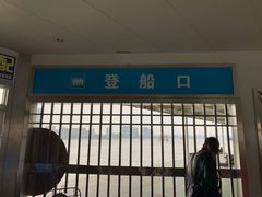 -武汉关码头(轮渡站)