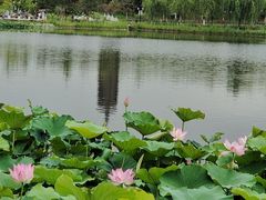-西海子公园