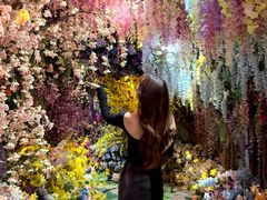 -正佳雨林生态植物园
