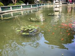 -碧江金楼