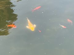 -大悲禅寺