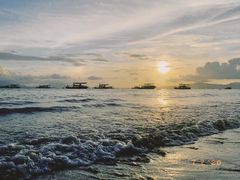 -广东惠东海龟国家级自然保护区
