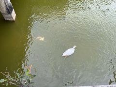 -求水山公园