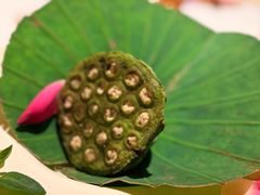 -叶叶菩提·晋福宫