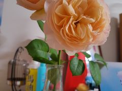 -壹点灵·心理咨询中心(中山公园店)
