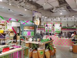 店内环境-悦诗风吟innisfree