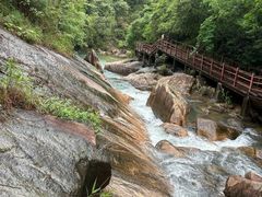 -广州白江湖森林公园
