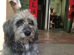 -老宅原住民沙茶面精品小吃(龙头路店)