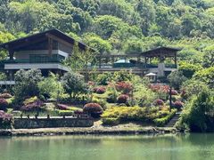 -桃花岭景区