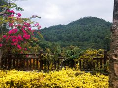 -广州白江湖森林公园