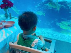 -涛·海底餐厅·美人鱼·自助餐·海底隧道(三亚海棠湾洲际度假酒店)