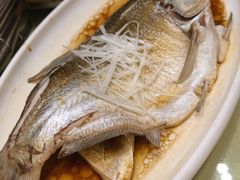 -刘胖子家常菜·蹄花焖藕(江汉路总店)