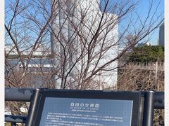 -台场海滨公园船码头