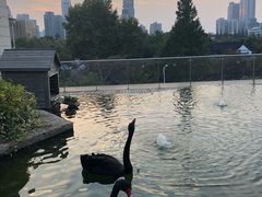 景观位-行者书屋大堂吧 ·下午茶(南京圣和府邸酒店)