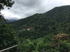 -清迈丛林飞跃 JungleFlight