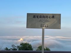 -芒洲湿地公园