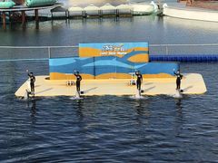 -秦皇岛乐岛海洋王国