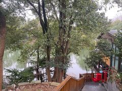 -张鸟园农家乐(张鸟园店)