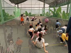 -麻涌飞鸭开心农场