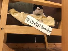 -猫的天空之城概念书店(杭州南宋御街店)