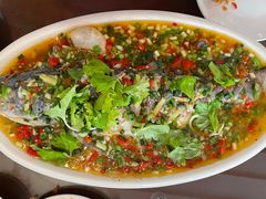 -飞虹鱼馆(春华路店)