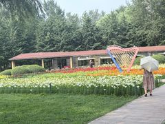 -长白岛森林公园