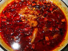 -雲蜀龙阁·金牌水煮鱼(方庄店)