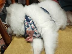 -伽利略剧本探案馆(国贸店)