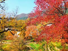 -塔川景区