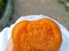 杏罐头-东泉假日温泉酒店-悦荷轩餐厅
