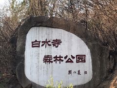 -白水寺森林公园