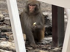 -狮子关旅游区